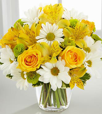 Brasil-flores