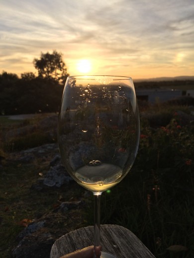 fasano-sunset-wine