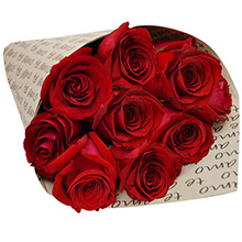 rosas